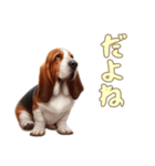 バセットハウンドと一緒の日常2（個別スタンプ：5）