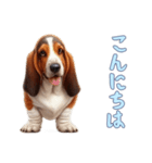 バセットハウンドと一緒の日常2（個別スタンプ：6）