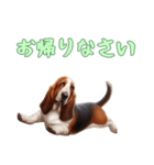 バセットハウンドと一緒の日常2（個別スタンプ：8）