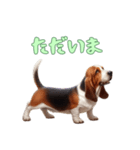 バセットハウンドと一緒の日常2（個別スタンプ：9）