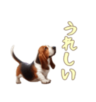 バセットハウンドと一緒の日常2（個別スタンプ：10）