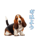 バセットハウンドと一緒の日常2（個別スタンプ：11）