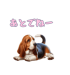バセットハウンドと一緒の日常2（個別スタンプ：13）
