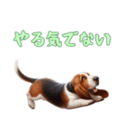 バセットハウンドと一緒の日常2（個別スタンプ：14）