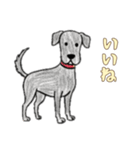 日常で使える落書きの犬1（個別スタンプ：3）
