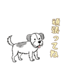 日常で使える落書きの犬1（個別スタンプ：4）