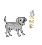 日常で使える落書きの犬1（個別スタンプ：8）
