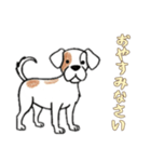 日常で使える落書きの犬1（個別スタンプ：11）