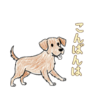 日常で使える落書きの犬1（個別スタンプ：12）