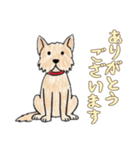日常で使える落書きの犬1（個別スタンプ：13）