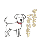 日常で使える落書きの犬1（個別スタンプ：16）