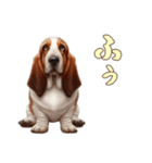 バセットハウンドと一緒の日常1（個別スタンプ：1）