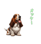 バセットハウンドと一緒の日常1（個別スタンプ：2）