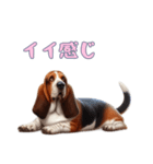 バセットハウンドと一緒の日常1（個別スタンプ：3）