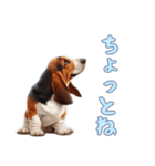 バセットハウンドと一緒の日常1（個別スタンプ：4）