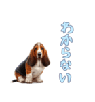 バセットハウンドと一緒の日常1（個別スタンプ：5）