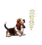 バセットハウンドと一緒の日常1（個別スタンプ：14）