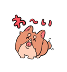 コーギーの麦くん(ときどき毒舌)（個別スタンプ：7）