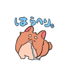 コーギーの麦くん(ときどき毒舌)（個別スタンプ：11）