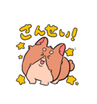コーギーの麦くん(ときどき毒舌)（個別スタンプ：12）