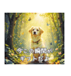 犬✖️スピリチュアル スタンプ（個別スタンプ：11）