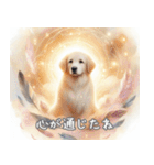 犬✖️スピリチュアル スタンプ（個別スタンプ：13）