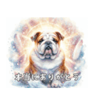 犬✖️スピリチュアル スタンプ（個別スタンプ：17）