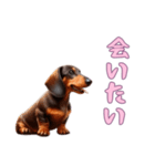 ダックスフンドと一緒の日常1（個別スタンプ：3）