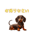 ダックスフンドと一緒の日常1（個別スタンプ：8）