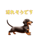 ダックスフンドと一緒の日常1（個別スタンプ：9）
