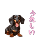 ダックスフンドと一緒の日常1（個別スタンプ：11）