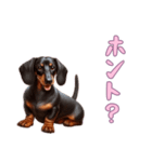 ダックスフンドと一緒の日常1（個別スタンプ：12）