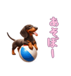 ダックスフンドと一緒の日常1（個別スタンプ：13）
