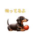ダックスフンドと一緒の日常1（個別スタンプ：15）