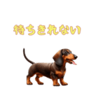 ダックスフンドと一緒の日常1（個別スタンプ：16）