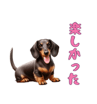 ダックスフンドと一緒の日常2（個別スタンプ：2）