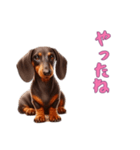 ダックスフンドと一緒の日常2（個別スタンプ：3）