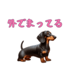 ダックスフンドと一緒の日常2（個別スタンプ：4）