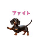 ダックスフンドと一緒の日常2（個別スタンプ：9）
