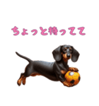 ダックスフンドと一緒の日常2（個別スタンプ：10）