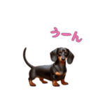 ダックスフンドと一緒の日常2（個別スタンプ：11）