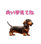 ダックスフンドと一緒の日常2（個別スタンプ：14）