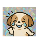 ホロきらシーズーのもふもふ日記@SFW（個別スタンプ：17）