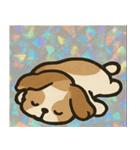 ホロきらシーズーのもふもふ日記@SFW（個別スタンプ：23）