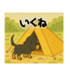 ミニチュアダックス キャンプにお邪魔した（個別スタンプ：16）