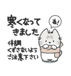 ちびねっこ4☆ずっと使える挨拶や感情 + 秋（個別スタンプ：2）