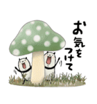 【秋】豆パンダ : 大人丁寧（個別スタンプ：24）