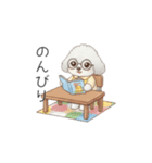 子供トイプードル（幼稚園、保育園向け）（個別スタンプ：4）