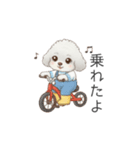 子供トイプードル（幼稚園、保育園向け）（個別スタンプ：6）