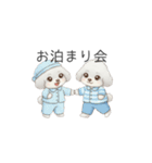 子供トイプードル（幼稚園、保育園向け）（個別スタンプ：11）